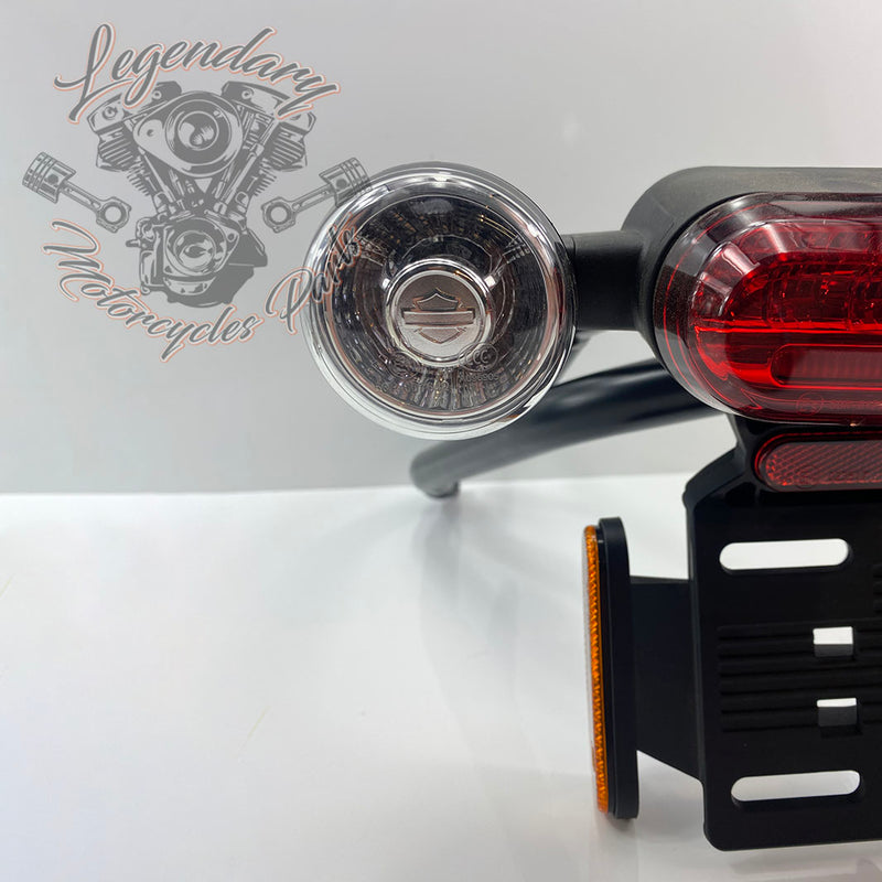 Luz trasera OEM 67900498