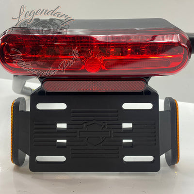 Zadnja luč OEM 67900498