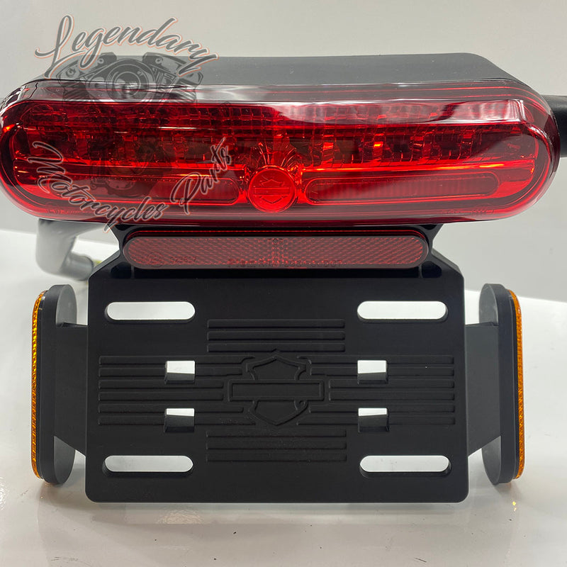Zadnja luč OEM 67900498