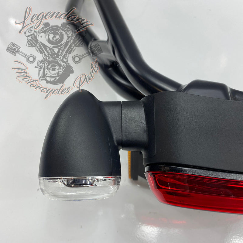 Zadnja luč OEM 67900498