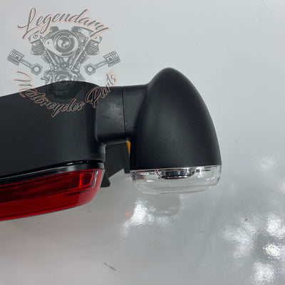 Luz trasera OEM 67900498