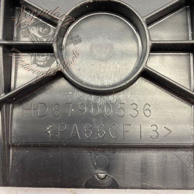 Support de plaque OEM 67900536