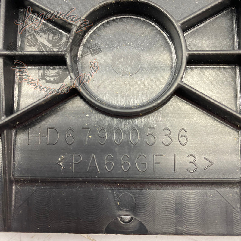 Support de plaque OEM 67900536