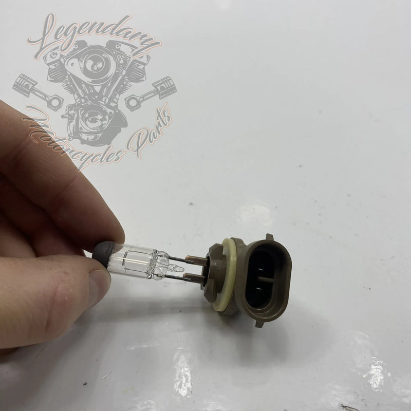 Lamp, Extra lampen OEM 68000056