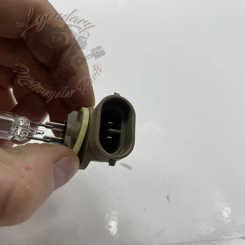 Lamp, Extra lampen OEM 68000056