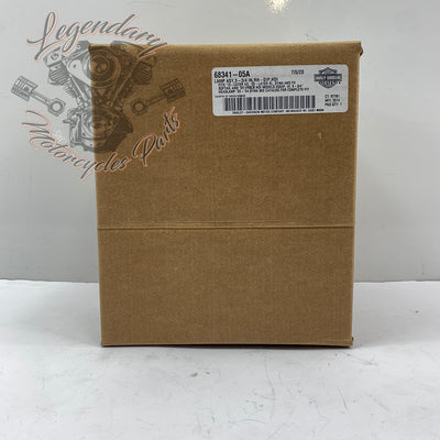 Headlight optics OEM 68341-05A