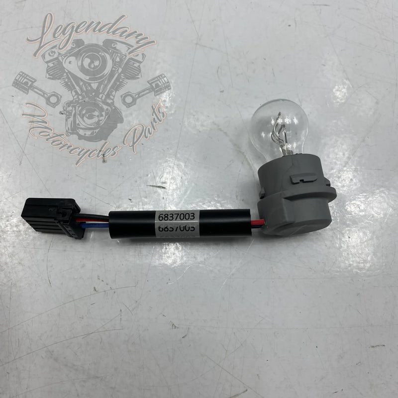 Rear Light Harness and Bulb OEM 68370-03A