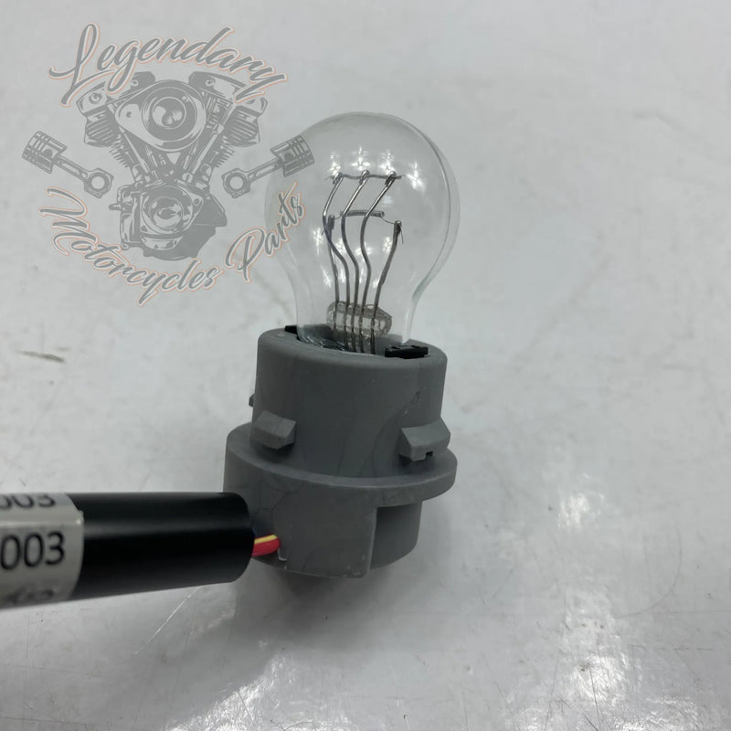 Rear Light Harness and Bulb OEM 68370-03A