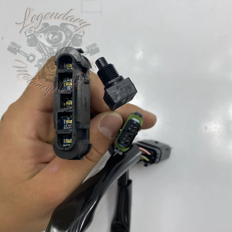 Gauge Harness OEM 68814-07