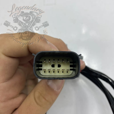 Gauge Harness OEM 68814-07