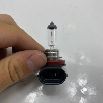 Halogen Bulb OEM 68881-01