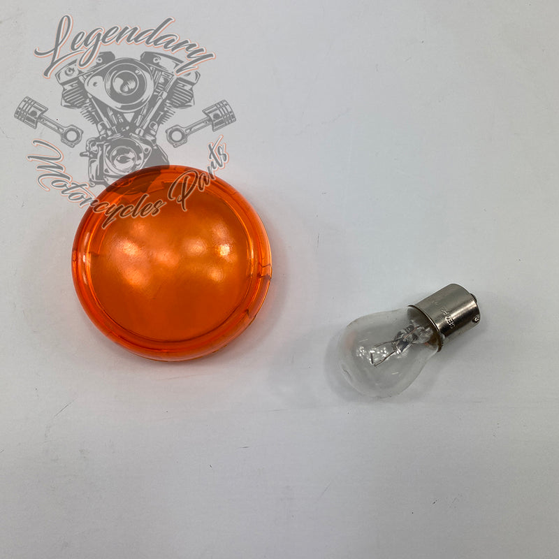 Indicador de giro delantero OEM 68973-00