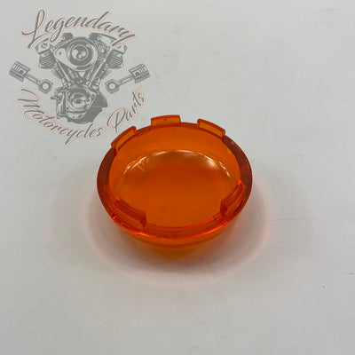 Indicador de giro delantero OEM 68973-00