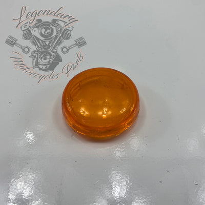 OEM 68973-00 knipperlichtkap voor