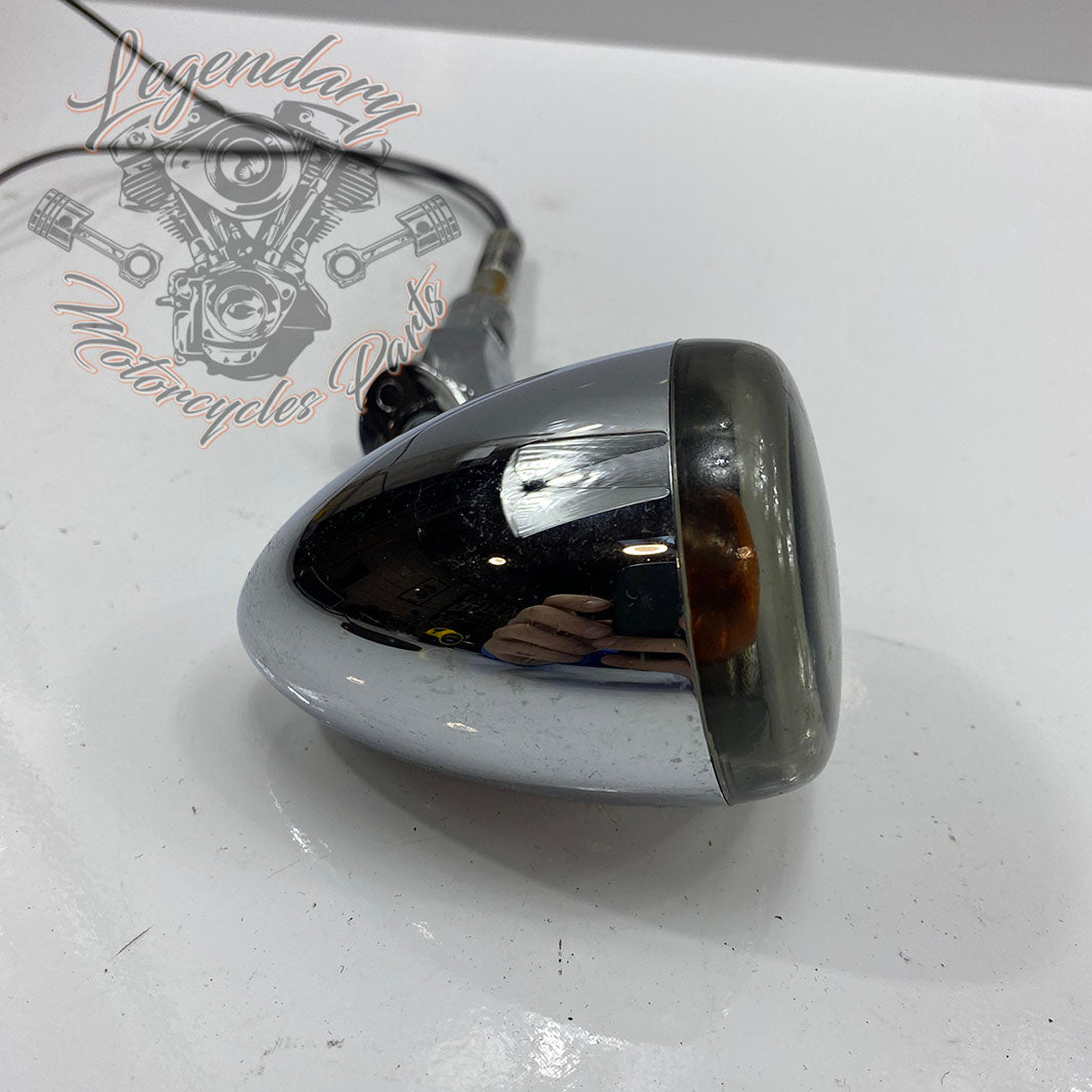 OEM 68978-00 Blinker hinten – Legendary Parts
