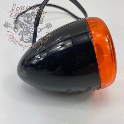 OEM 68978-00 Blinker hinten