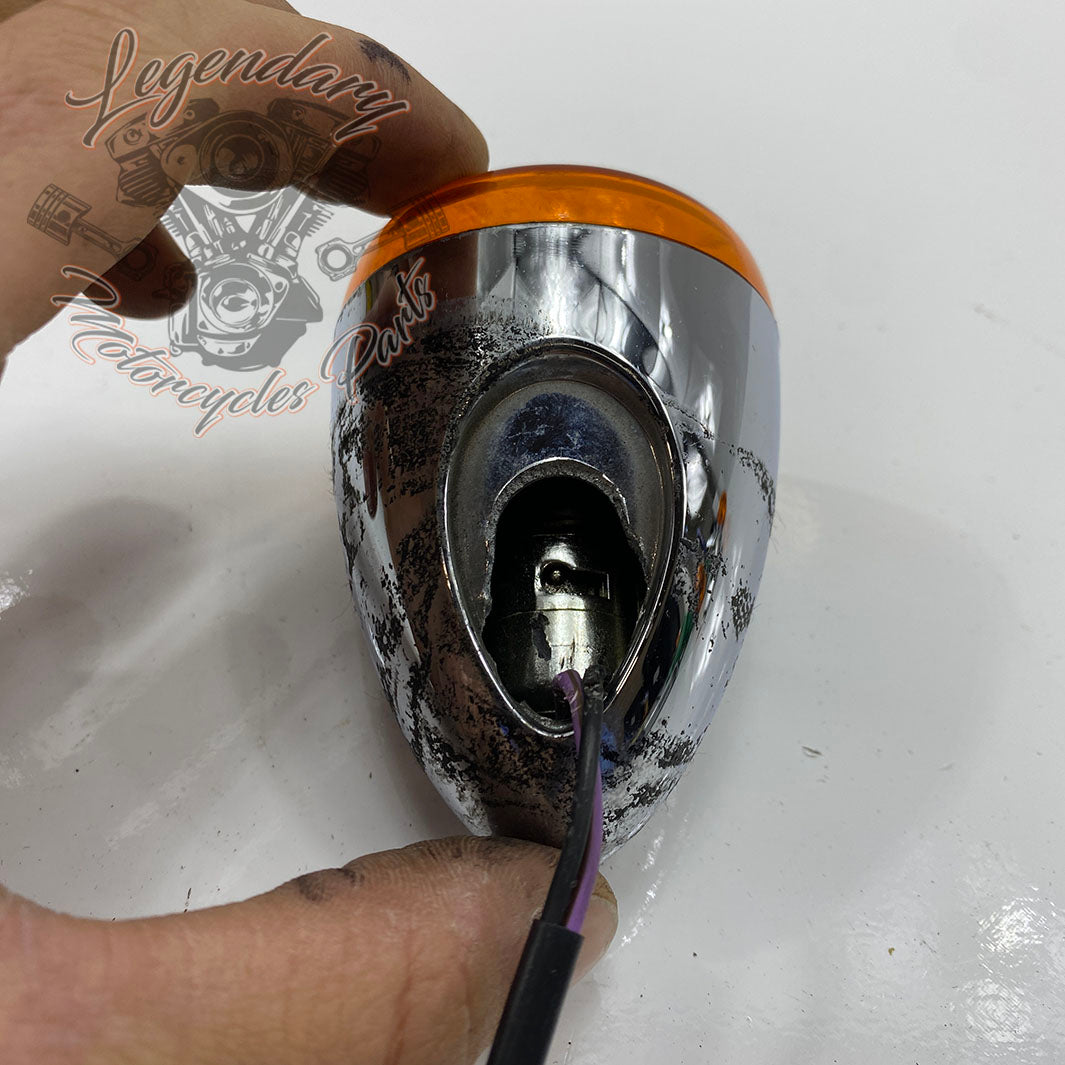 Clignotant arrière OEM 68978-00 – Legendary Parts
