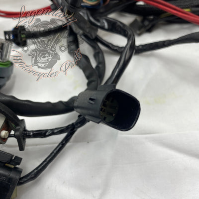 Glavni snop OEM 69200317