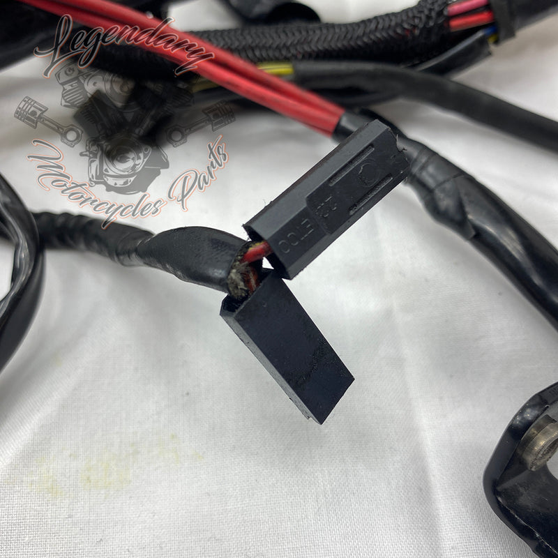 Glavni snop OEM 69200317