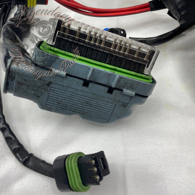 Glavni snop OEM 69200317
