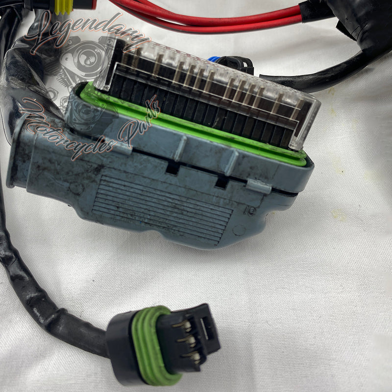 Main harness OEM 69200317