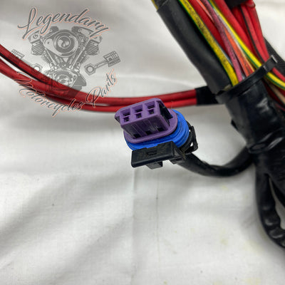 Glavni snop OEM 69200317