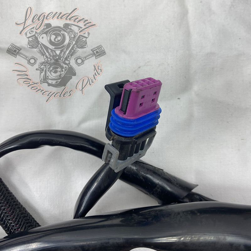 Glavni snop OEM 69200317