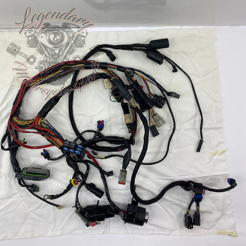 Main harness OEM 69200317