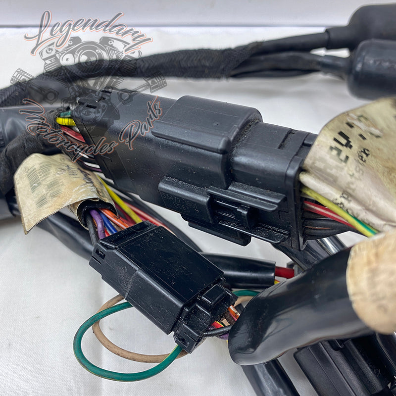 Glavni snop OEM 69200317