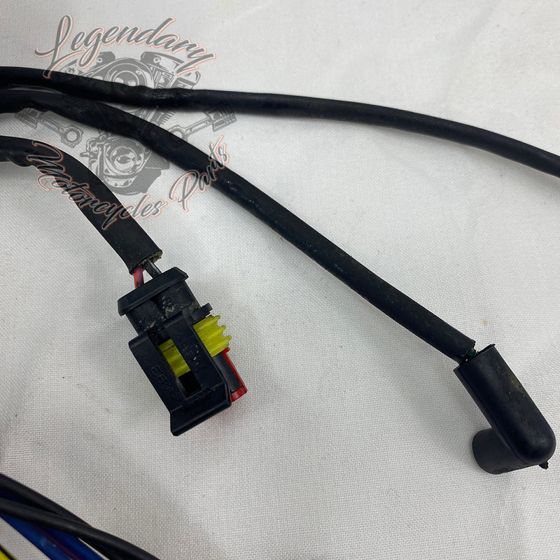 Glavni snop OEM 69200317