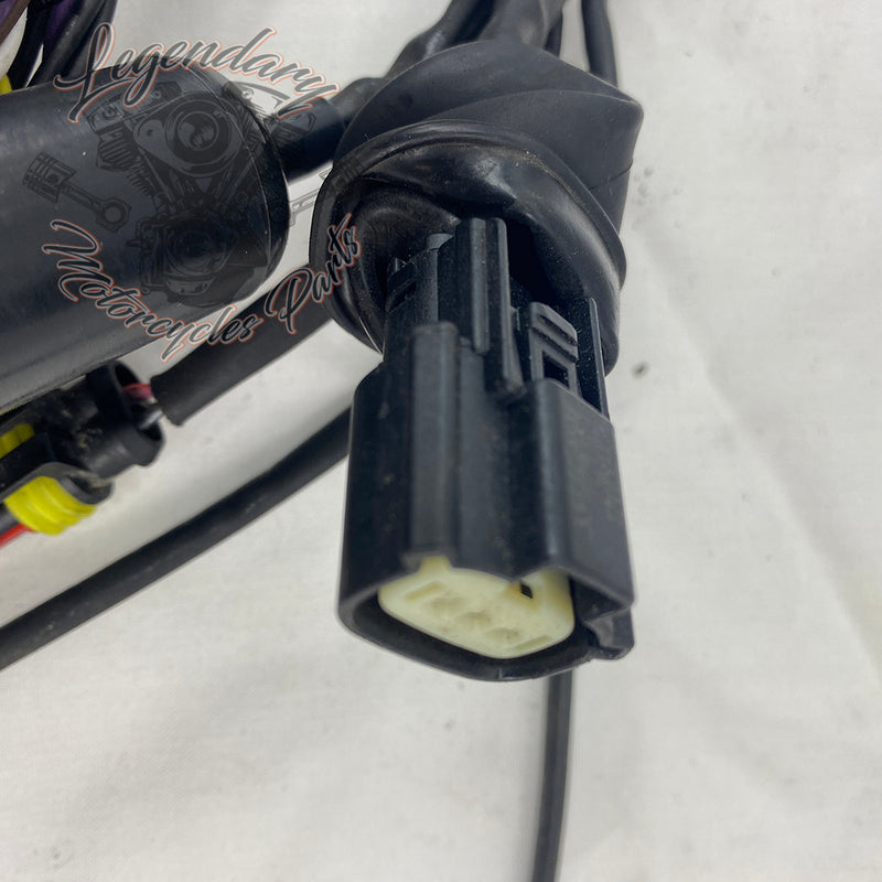 Glavni snop OEM 69200317