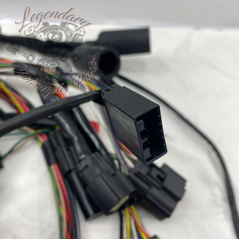 Glavni snop OEM 69200317