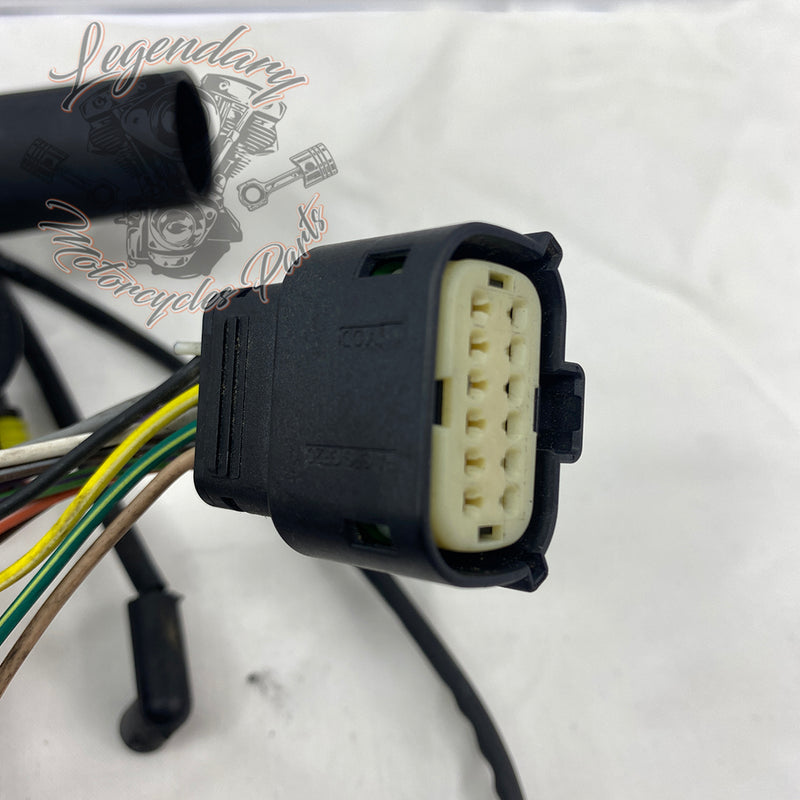 Glavni snop OEM 69200317