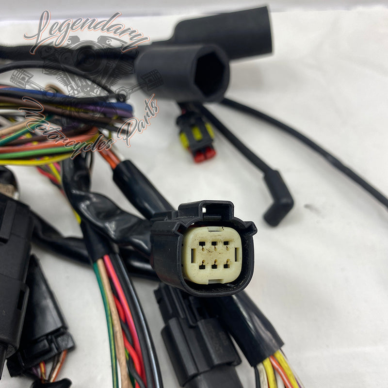 Glavni snop OEM 69200317