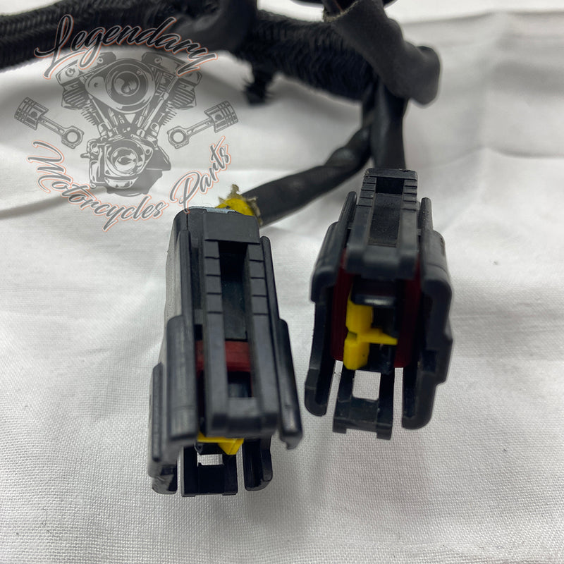 Glavni snop OEM 69200317