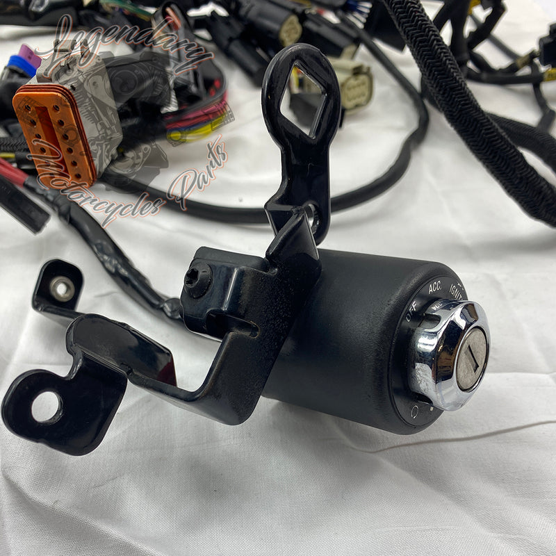 Glavni snop OEM 69200317