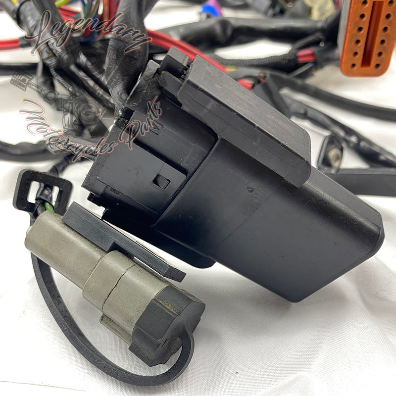 Glavni snop OEM 69200317