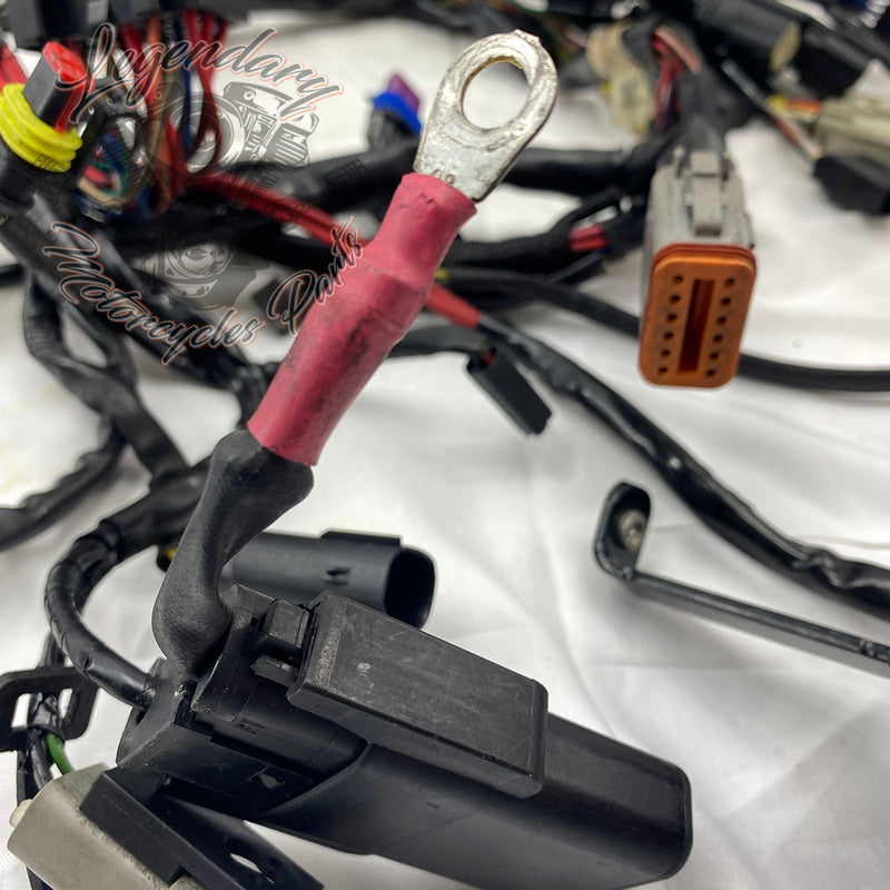Glavni snop OEM 69200317