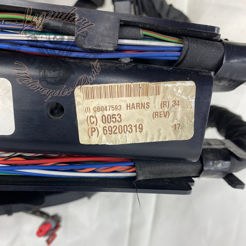 Main Harness OEM 69200319