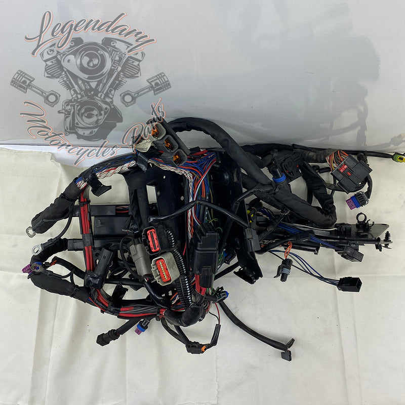 Main Harness OEM 69200319