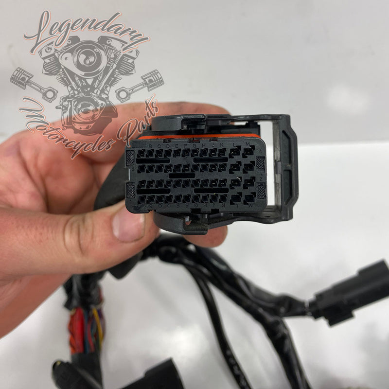 OEM Main Harness 69200479A