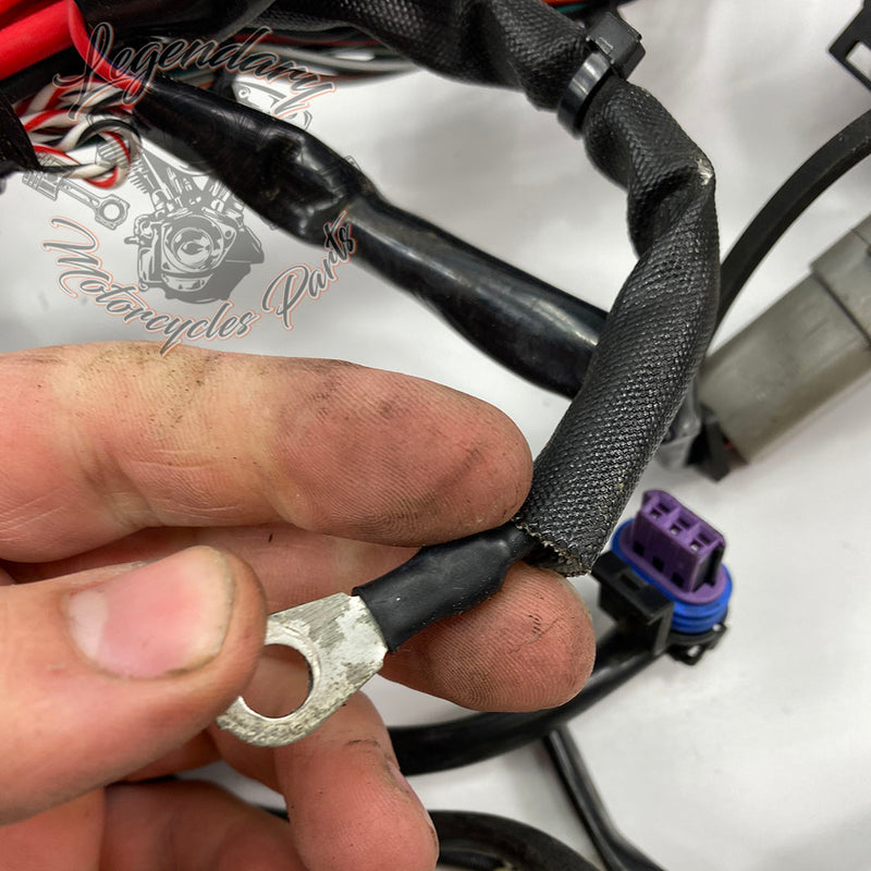 OEM-hoofdkabelboom 69200479A