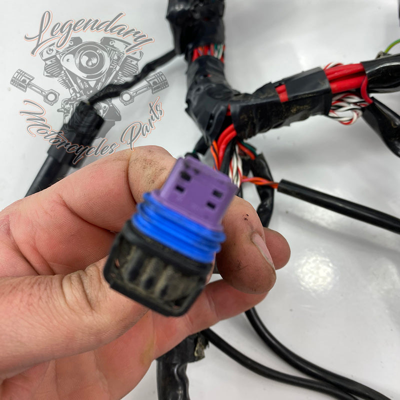 OEM-hoofdkabelboom 69200479A