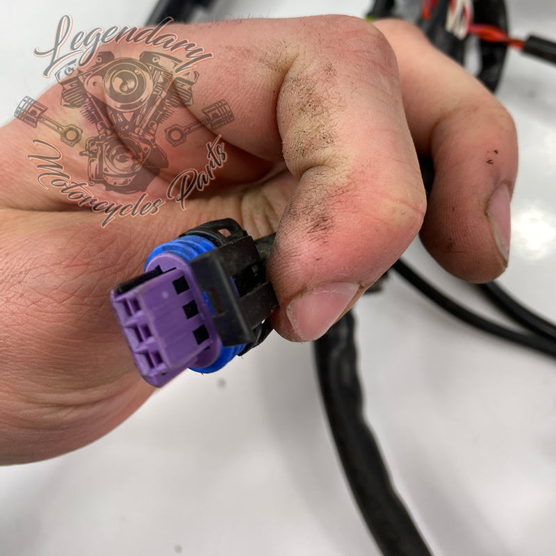 OEM-hoofdkabelboom 69200479A