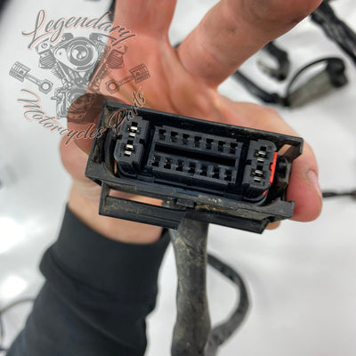 OEM-hoofdkabelboom 69200479A