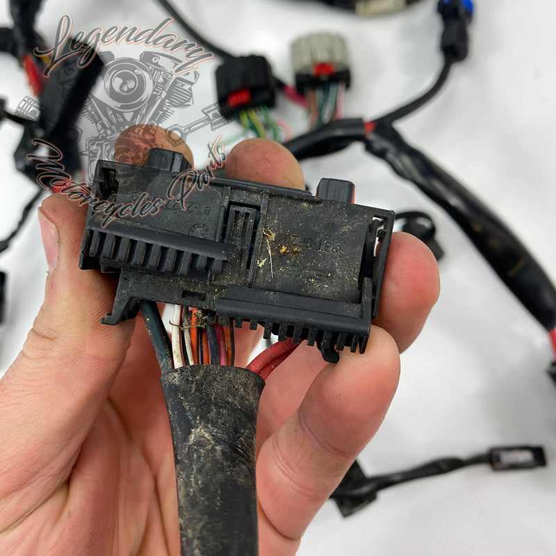 OEM-hoofdkabelboom 69200479A