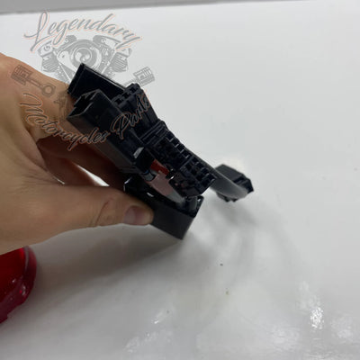 Taillight/Running Light/Auxiliary Turn Signal Conversion Kit OEM 69200765A