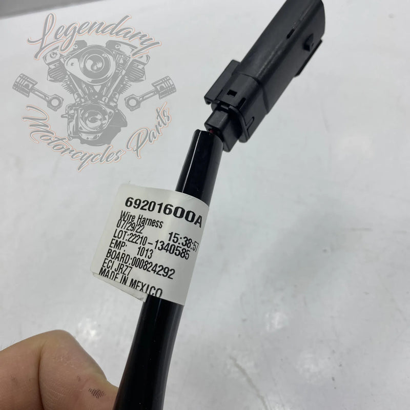 Accessory Harness OEM 69201599A
