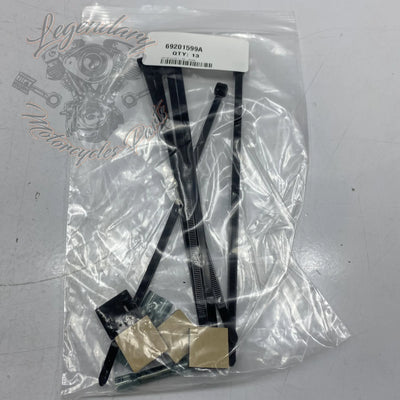 Accessory Harness OEM 69201599A