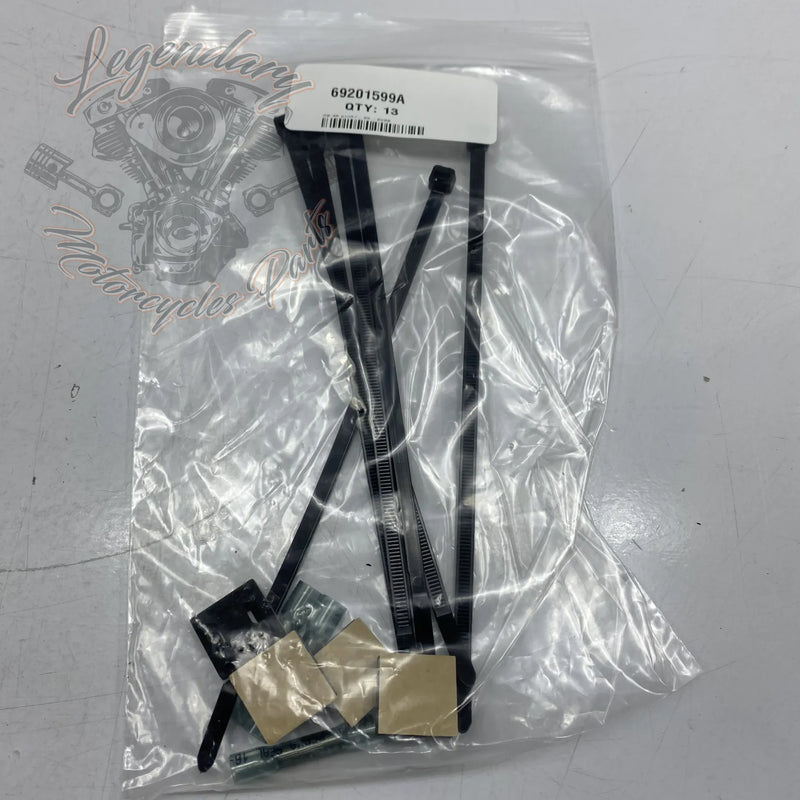 Accessory Harness OEM 69201599A